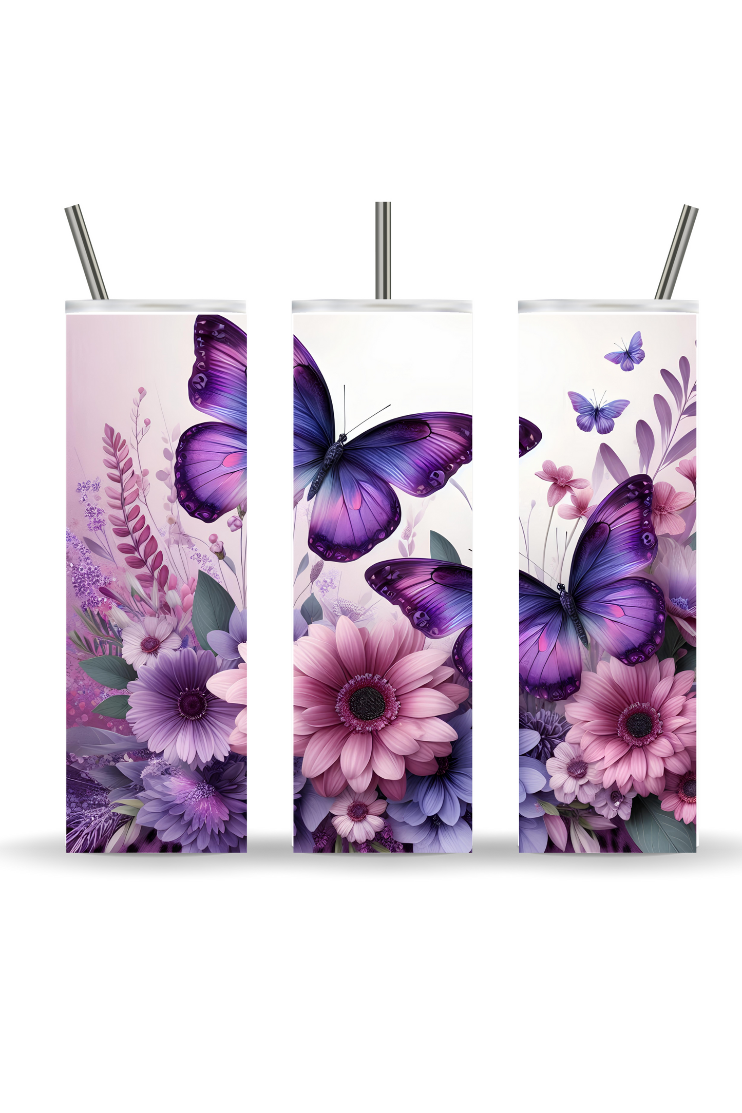 Butterfly Collection