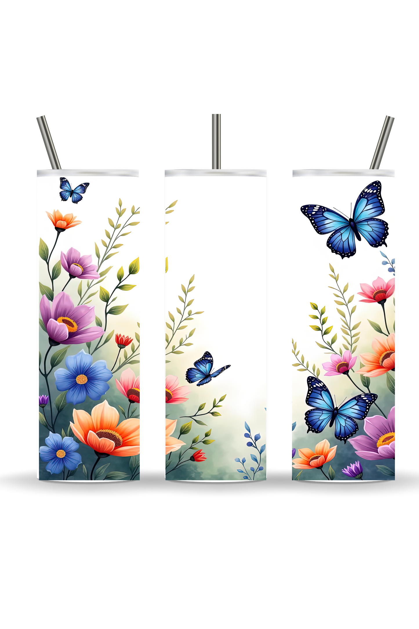 Butterfly Collection