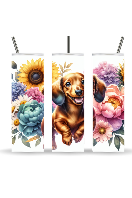 Dogs Collection
